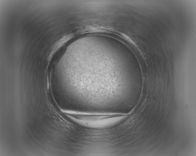 X0000052571269200507221452