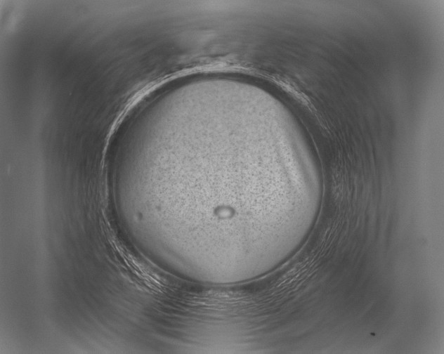 X0000052571270200507221452