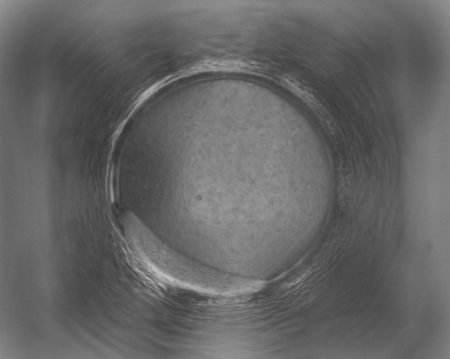 X0000052571272200507221452