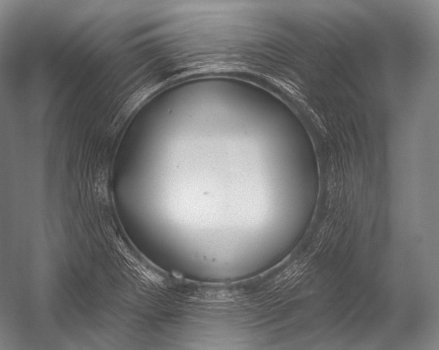 X0000052571273200507221452