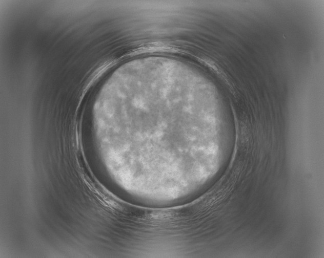 X0000052571274200507221452