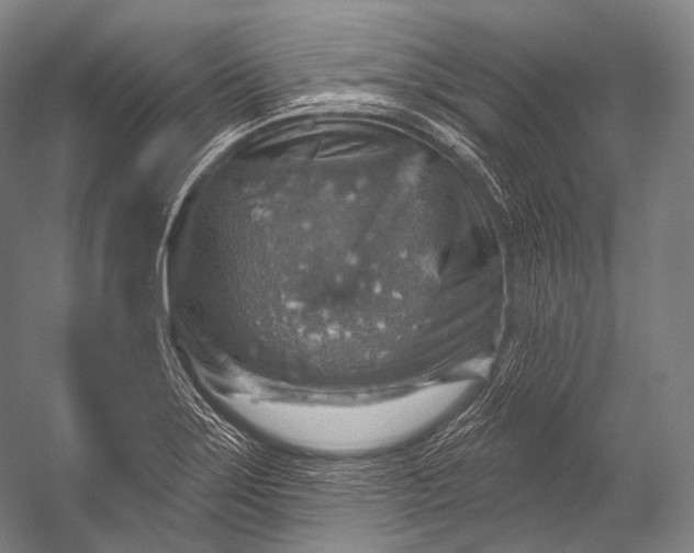 X0000052571275200507221452