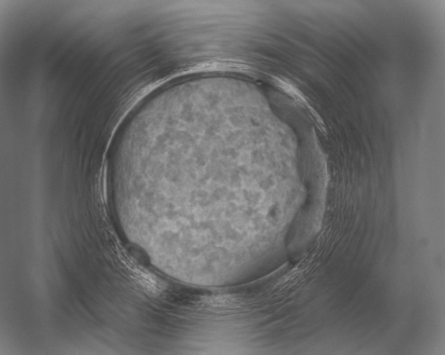 X0000052571276200507221452