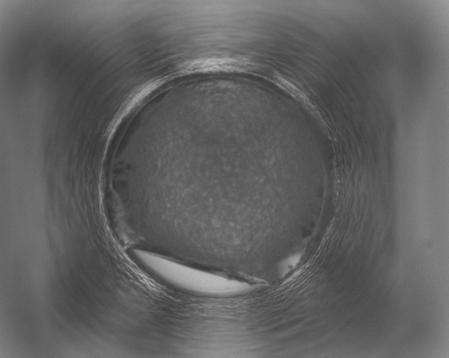 X0000052571277200507221452