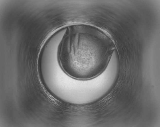 X0000052571279200507221452