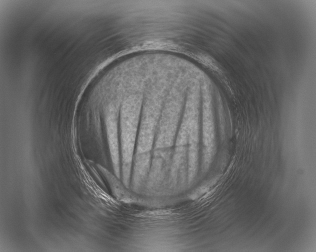 X0000052571280200507221452