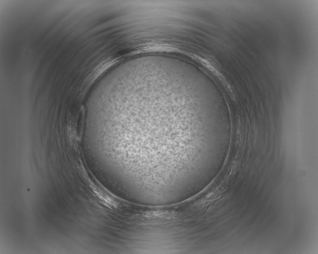 X0000052571281200507221452