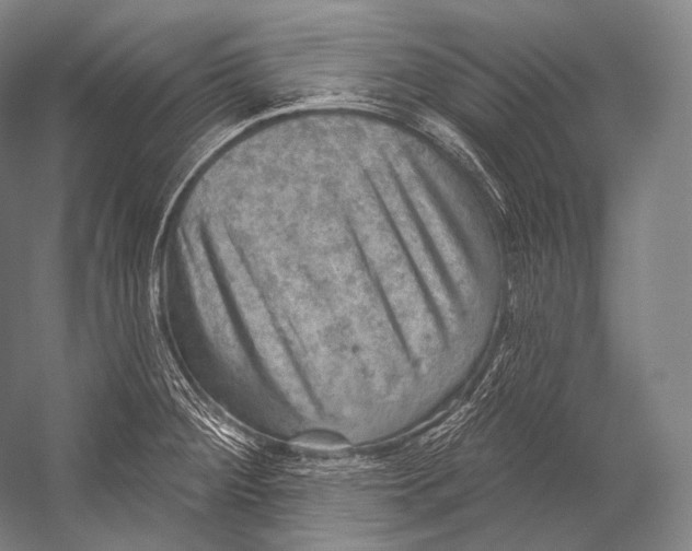 X0000052571284200507221452