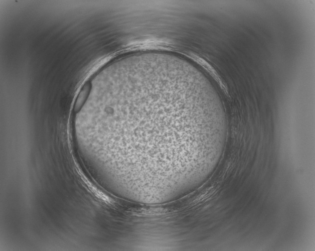 X0000052571285200507221452