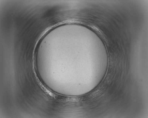 X0000052571286200507221452