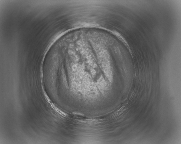 X0000052571287200507221452