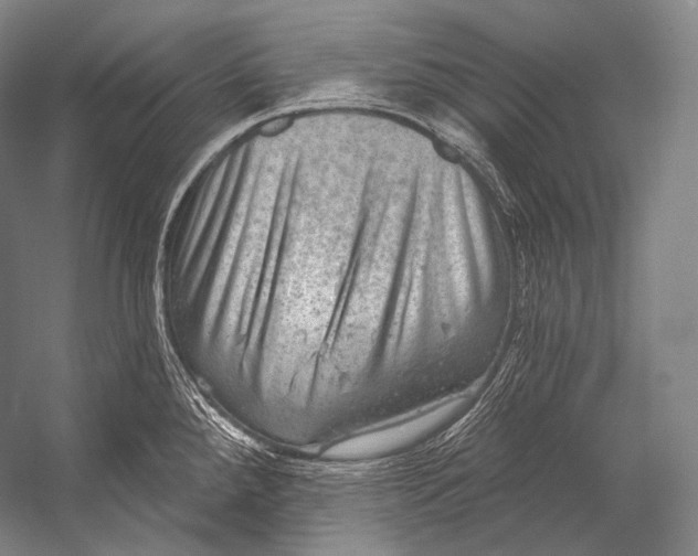 X0000052571288200507221452