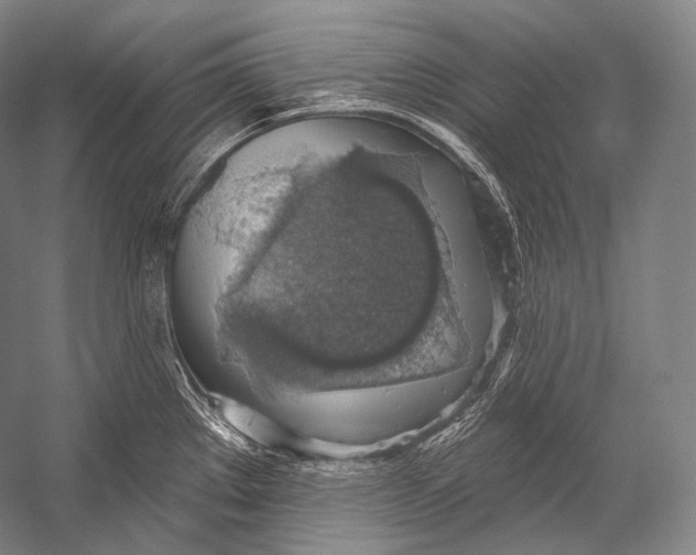 X0000052571289200507221452