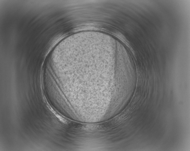 X0000052571290200507221452