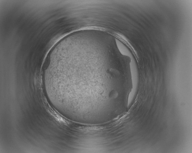 X0000052571292200507221452