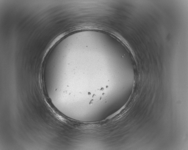 X0000052571293200507221452