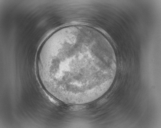 X0000052571294200507221452