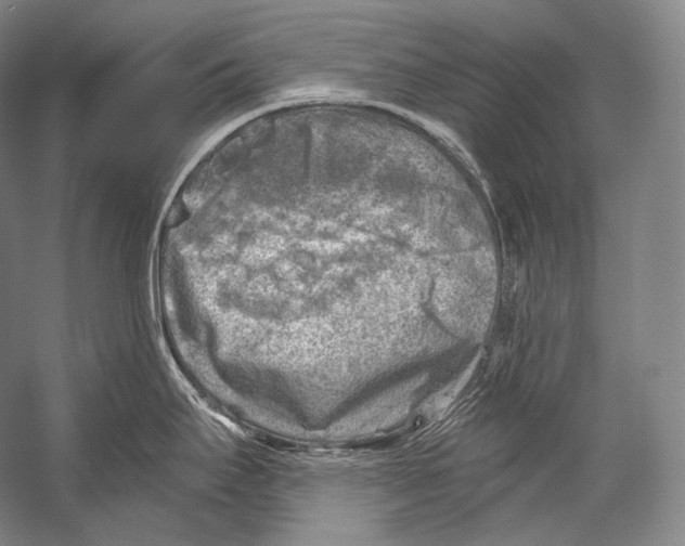 X0000052571295200507221452