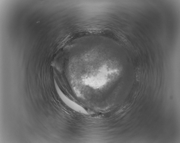 X0000052571298200507221451