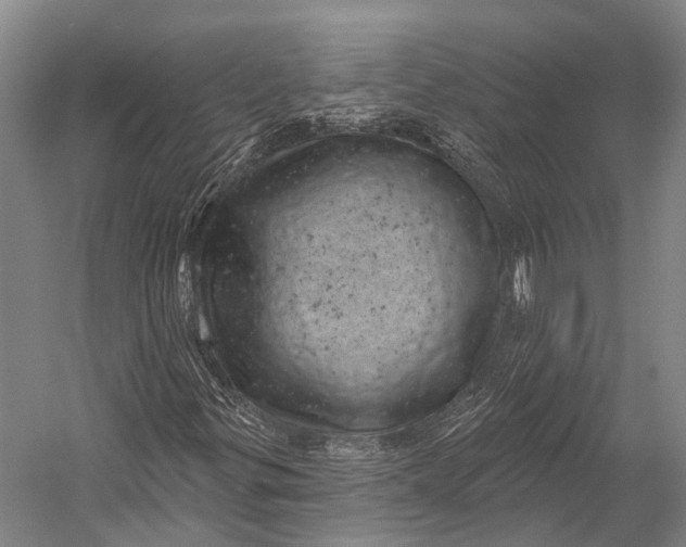 X0000052571299200507221451