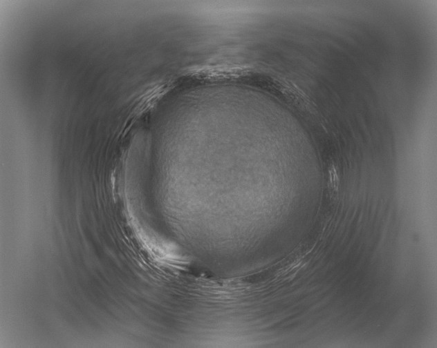 X0000052571300200507221451