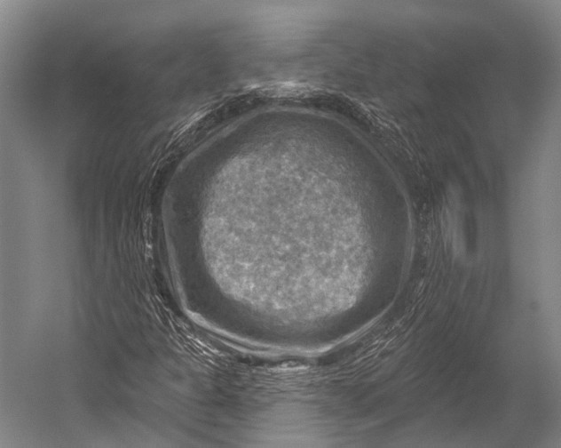 X0000052571301200507221451