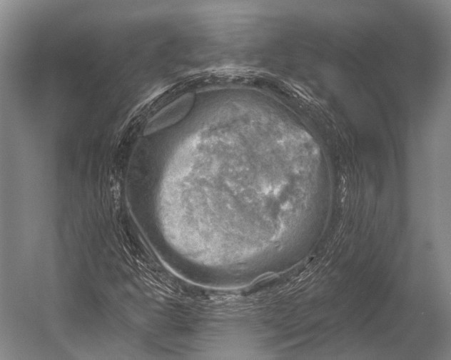 X0000052571302200507221451