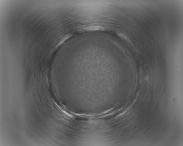 X0000052571305200507221451