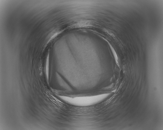 X0000052571306200507221451