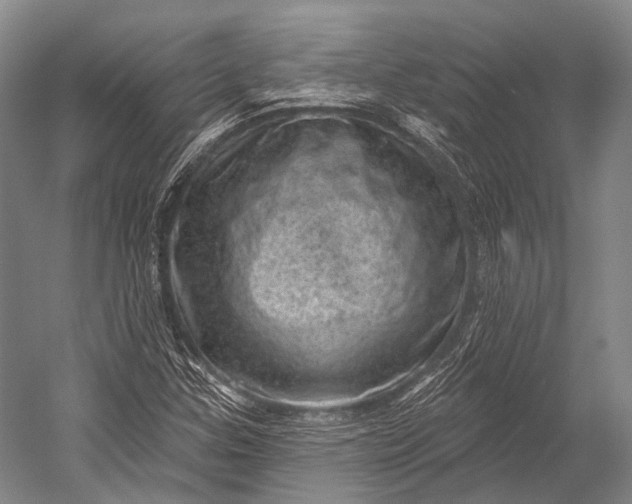 X0000052571307200507221451