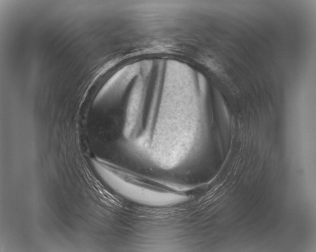 X0000052571308200507221451