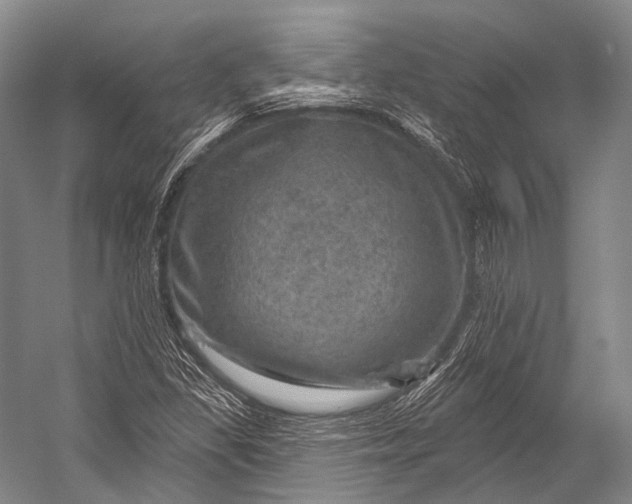 X0000052571309200507221451