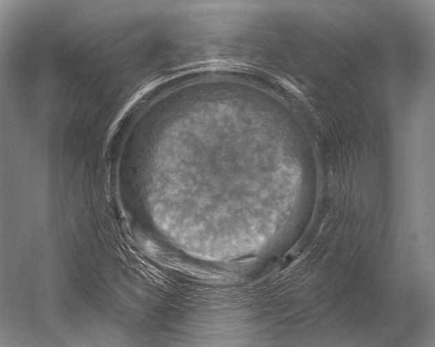 X0000052571310200507221451