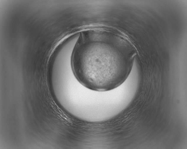 X0000052571312200507221451