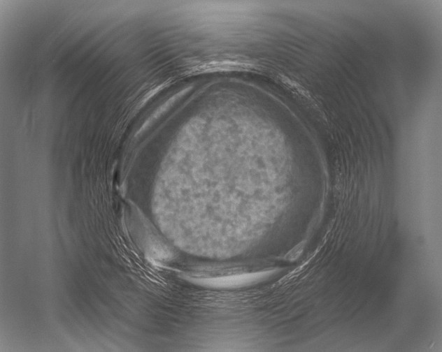 X0000052571313200507221451