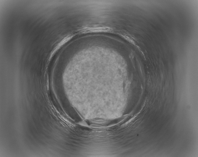 X0000052571317200507221451