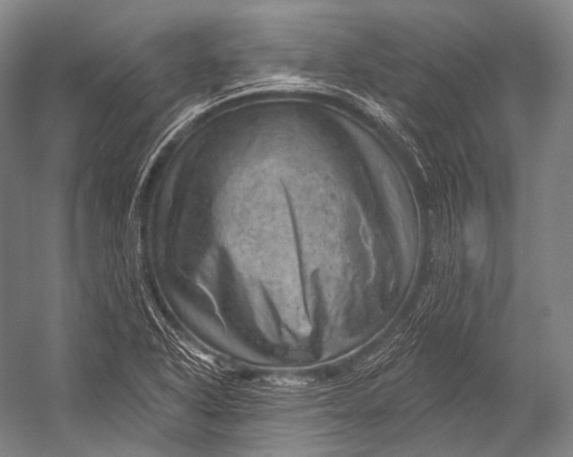 X0000052571318200507221451