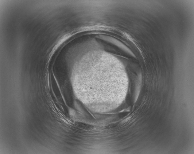 X0000052571320200507221452