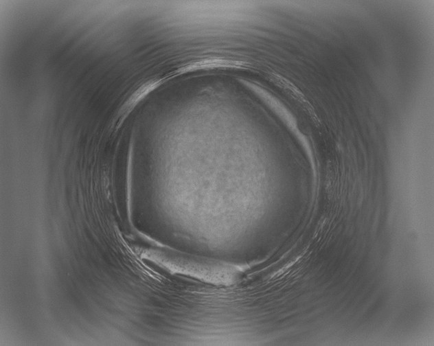 X0000052571321200507221452