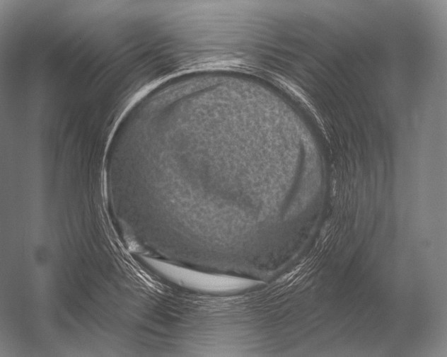 X0000052571324200507221452