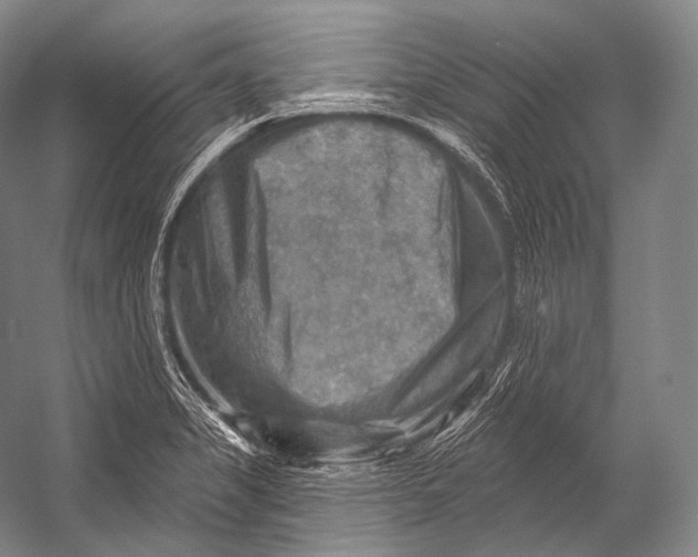 X0000052571325200507221452