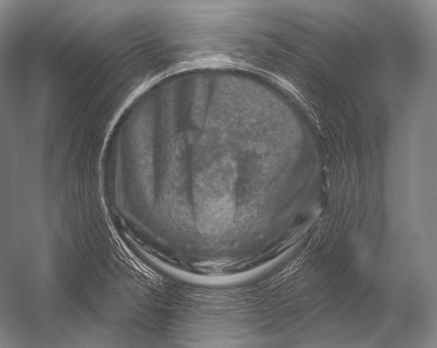 X0000052571326200507221452