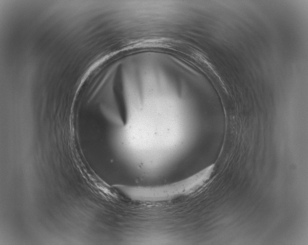 X0000052571328200507221452