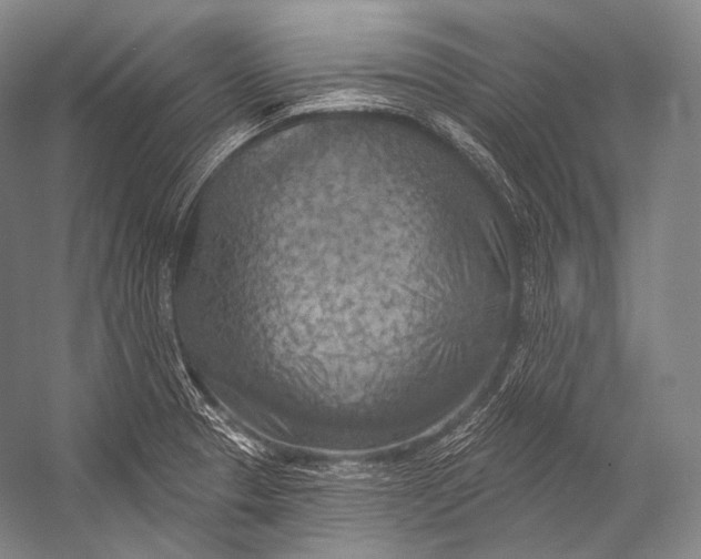 X0000052571329200507221452