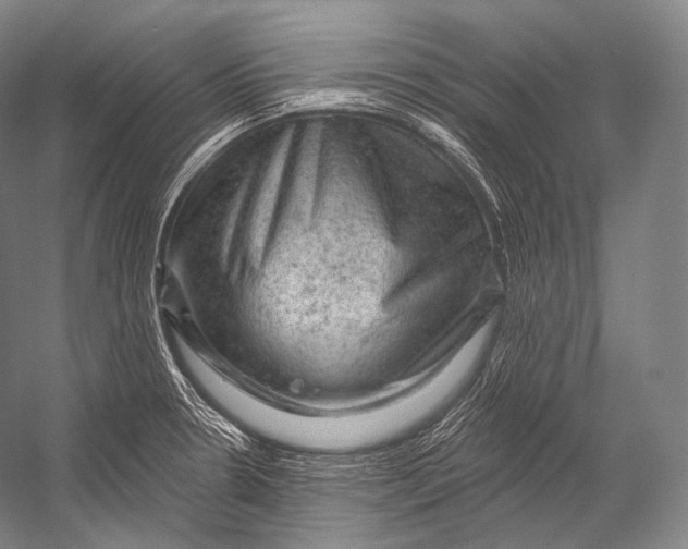 X0000052571330200507221452