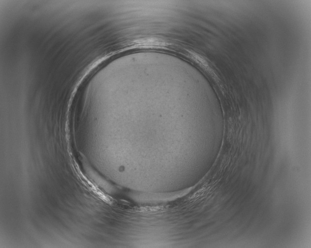 X0000052571331200507221452