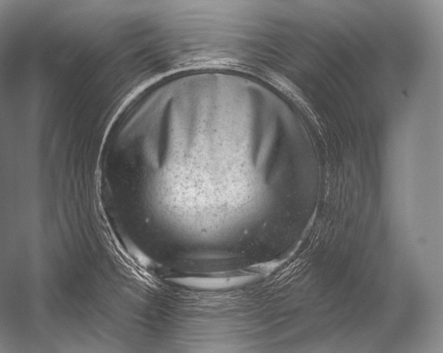 X0000052571332200507221452