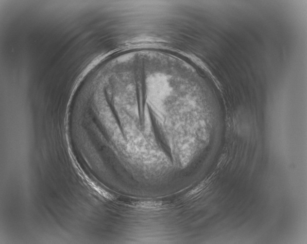 X0000052571333200507221452