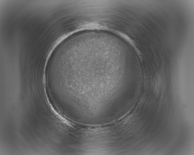 X0000052571335200507221452