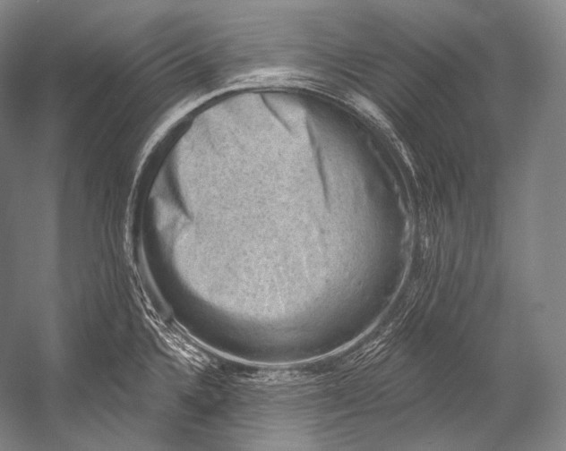 X0000052571336200507221452